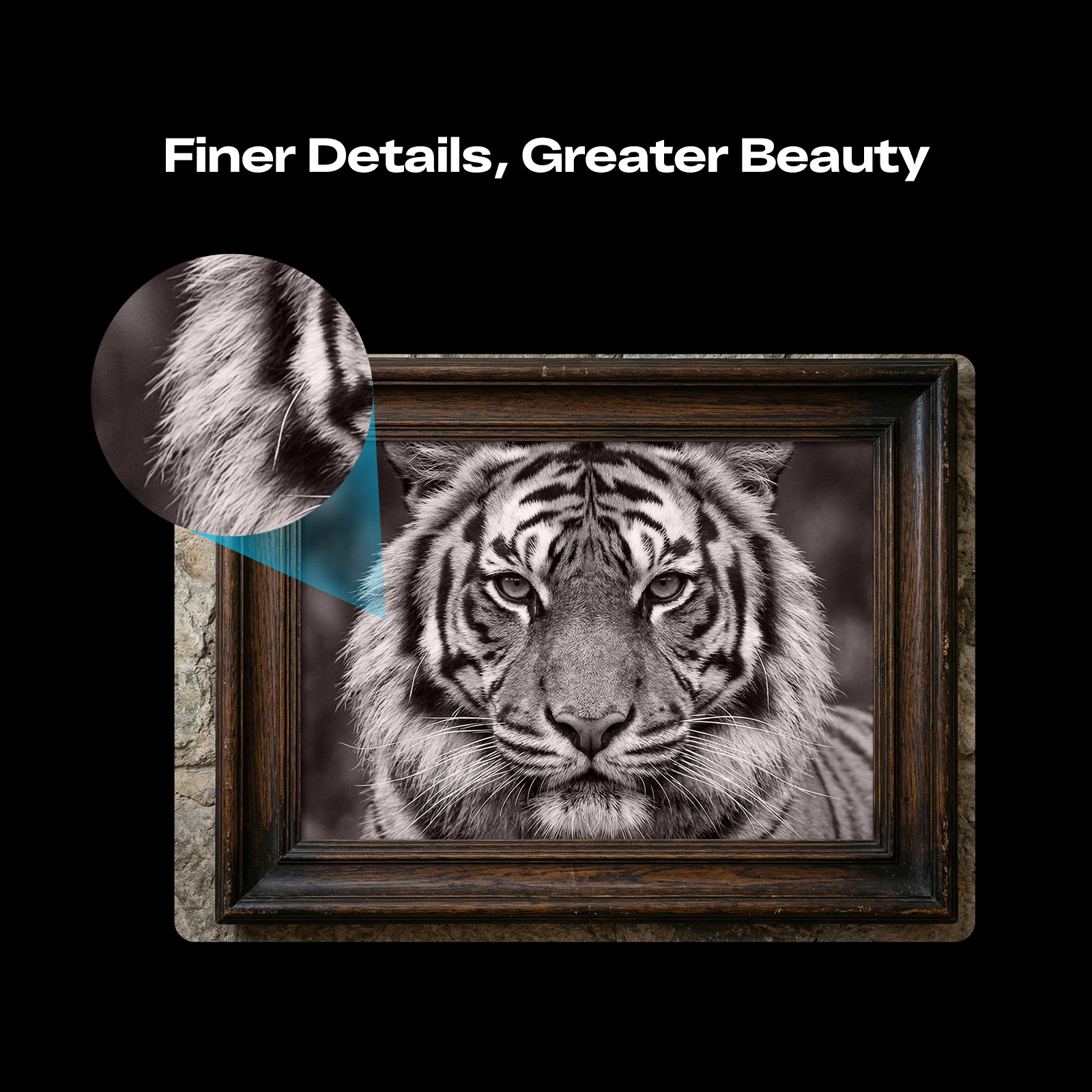 Creality-official-3d-printer-store-falcon-t1-laser-engraver-page-view6-1WV.jpg